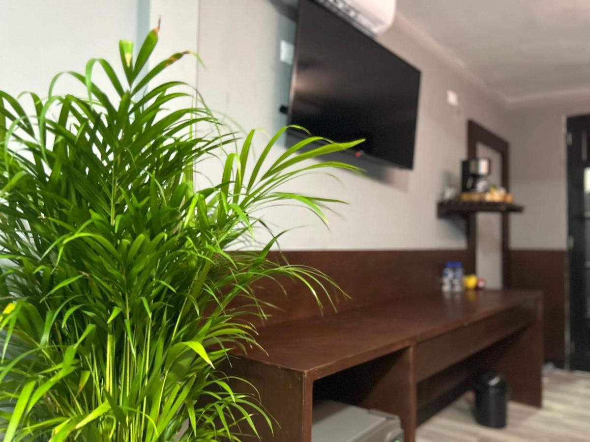Huasteca Em Suites Ciudad Valles Dış mekan fotoğraf
